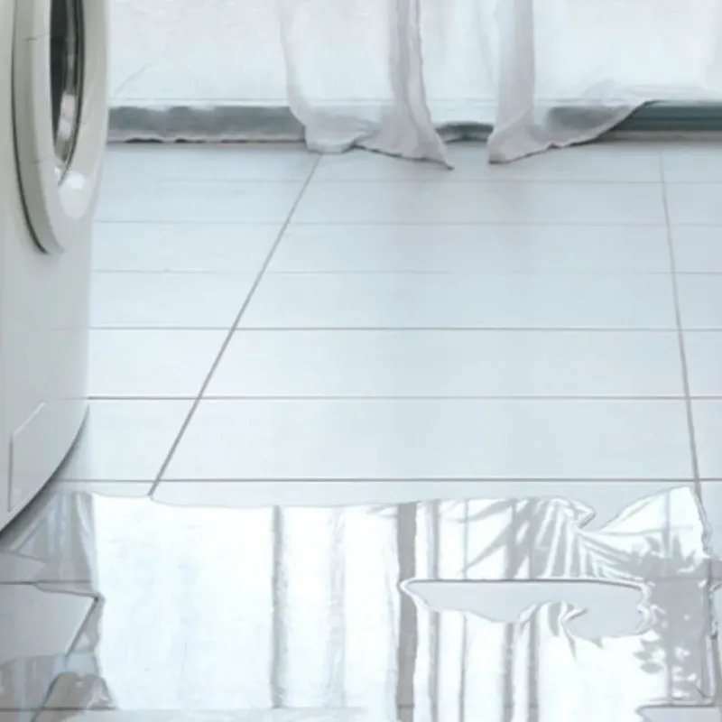 Appliance Leak Cleanup in Pierce County, WA