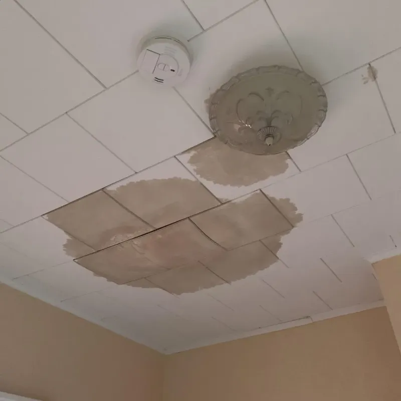 Ceiling Water Damage Repair in Pierce County, WA